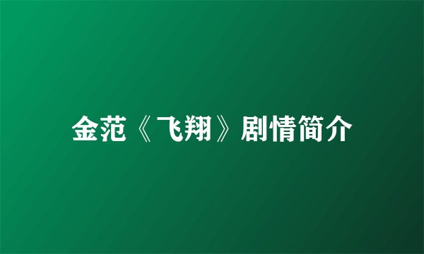 金范《飞翔》剧情简介