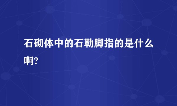 石砌体中的石勒脚指的是什么啊?