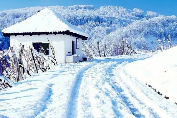 春去冬来的意思