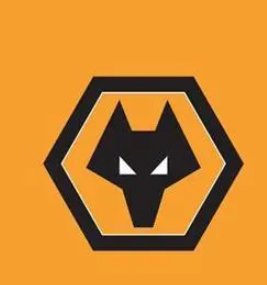 狼队能否赢一局