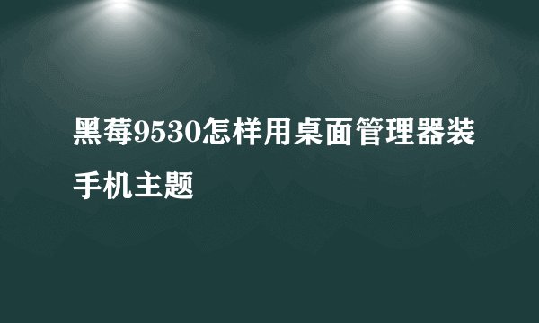 黑莓9530怎样用桌面管理器装手机主题