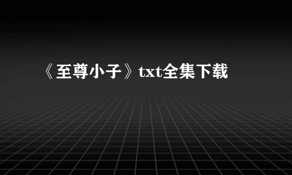 《至尊小子》txt全集下载