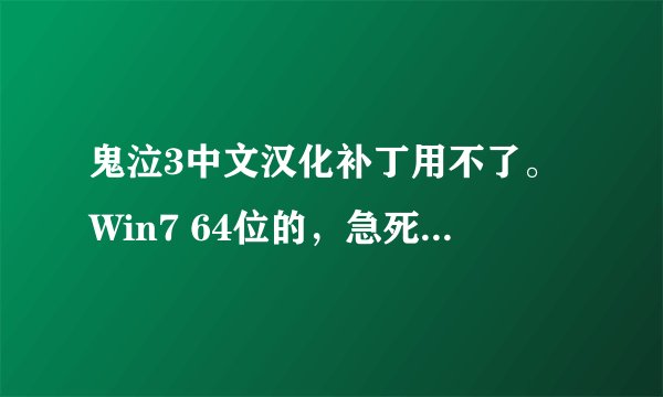 鬼泣3中文汉化补丁用不了。Win7 64位的，急死了，在线等。