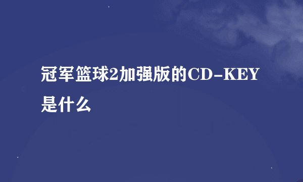 冠军篮球2加强版的CD-KEY是什么