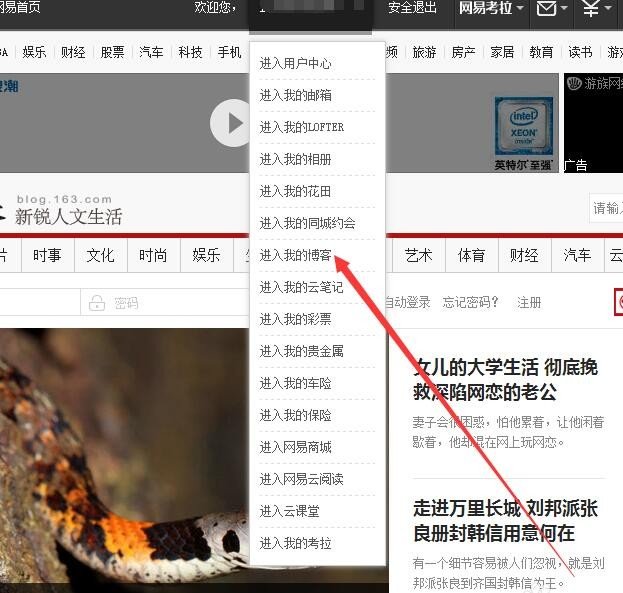 网易博客怎样才能登陆？