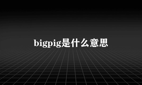 bigpig是什么意思