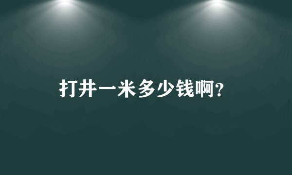 打井一米多少钱啊？