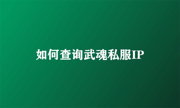如何查询武魂私服IP