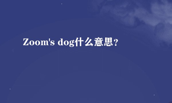 Zoom's dog什么意思？