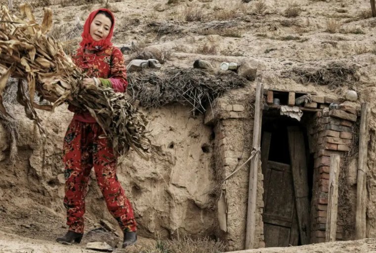 篱笆女人狗三部曲是哪三部