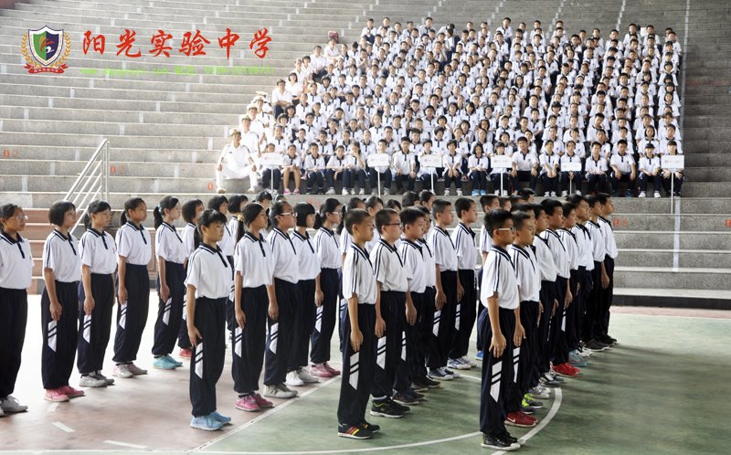 新生海军的介绍