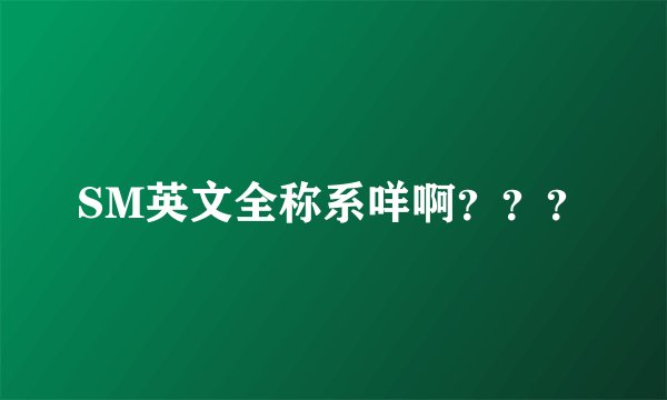 SM英文全称系咩啊？？？
