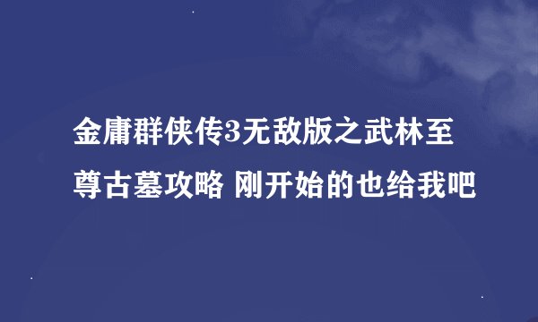 金庸群侠传3无敌版之武林至尊古墓攻略 刚开始的也给我吧