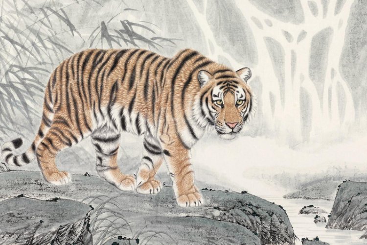 极目四望是什么生肖