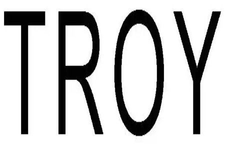 troy怎么读