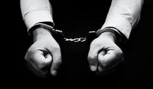 罪犯张定勇被执行死刑，他违反了哪些法律法规？