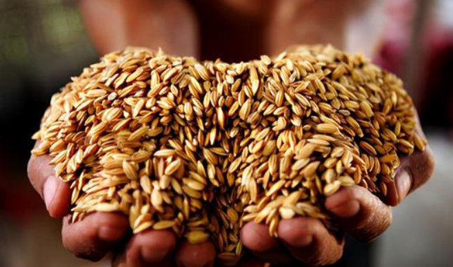 植物传播方法100种短句