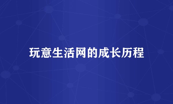 玩意生活网的成长历程