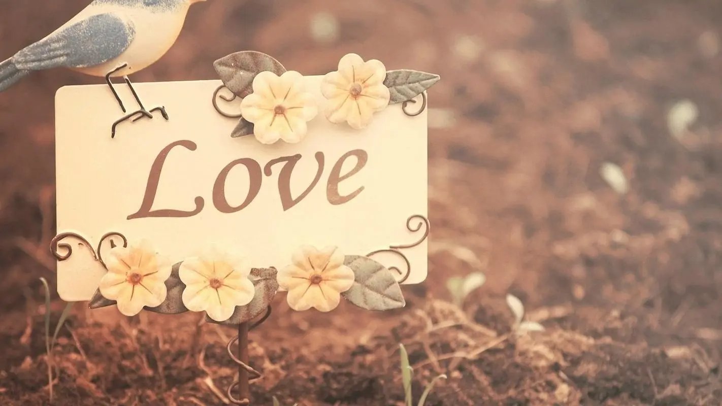 九千七是什么意思