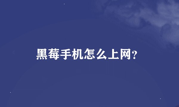 黑莓手机怎么上网？