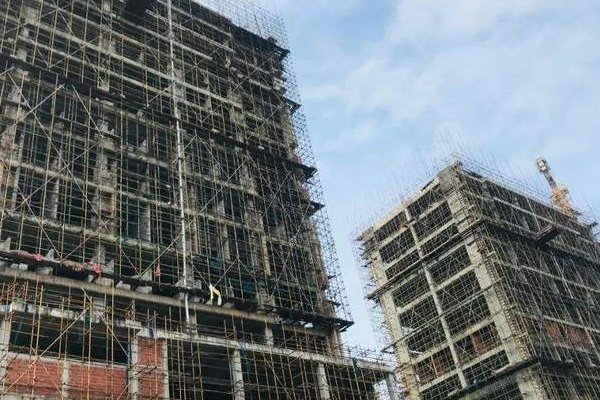 安家立业打一个生肖动物