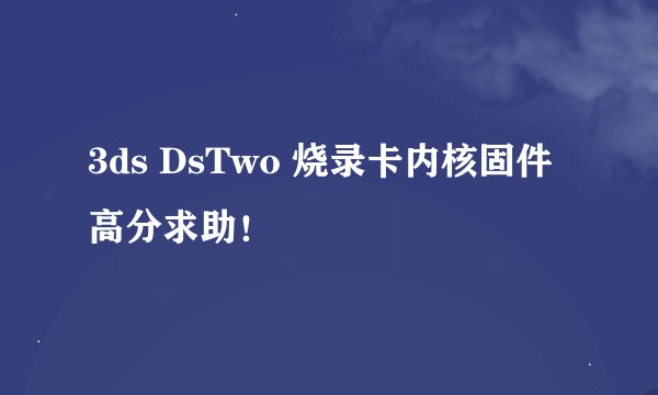 3ds DsTwo 烧录卡内核固件 高分求助！