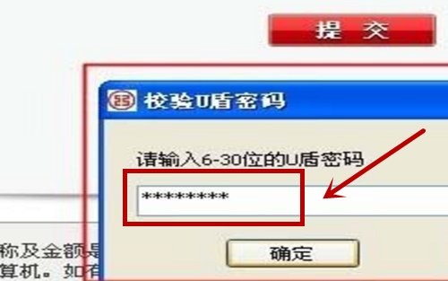 如何在网上使用U盾进行支付？