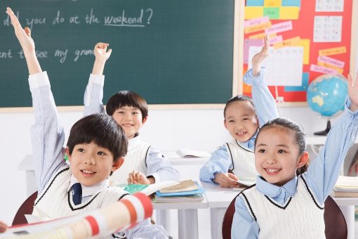 pollos是什么意思？