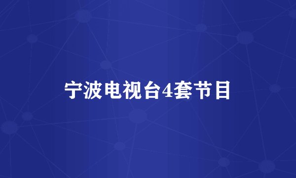 宁波电视台4套节目