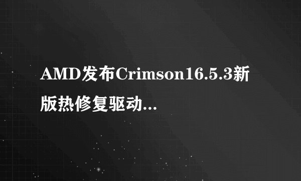 AMD发布Crimson16.5.3新版热修复驱动：支持Dota2等游戏