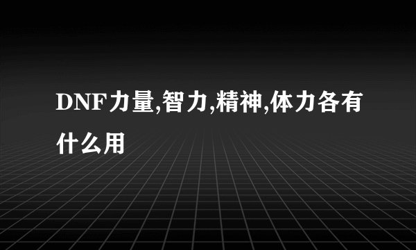 DNF力量,智力,精神,体力各有什么用