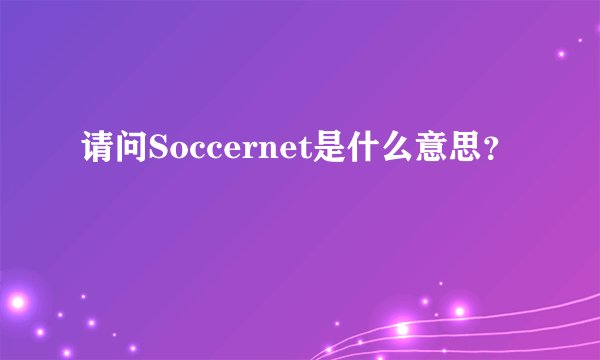 请问Soccernet是什么意思？