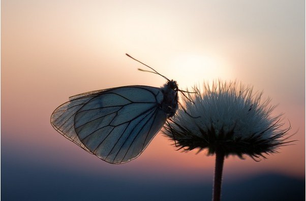 灾变论学派以谁为首