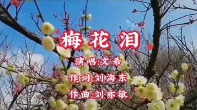歌曲《梅花泪》原唱