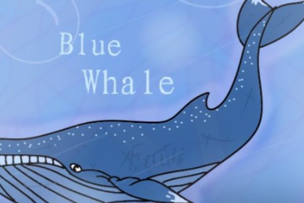 blue whale是什么意思