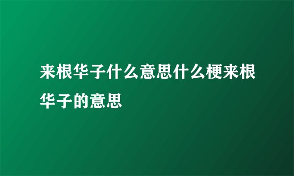 来根华子什么意思什么梗来根华子的意思
