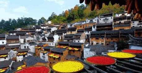 重阳节是几号 重阳节的风俗是什么