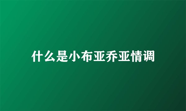 什么是小布亚乔亚情调