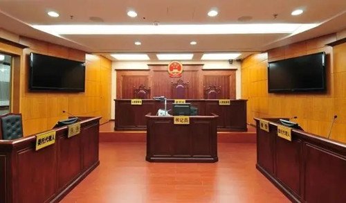 罪犯张定勇被执行死刑，他违反了哪些法律法规？