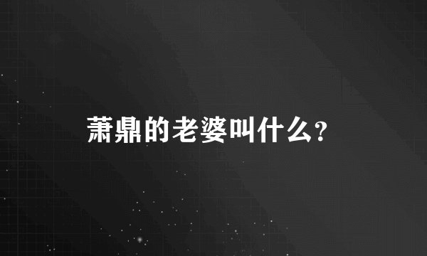 萧鼎的老婆叫什么？