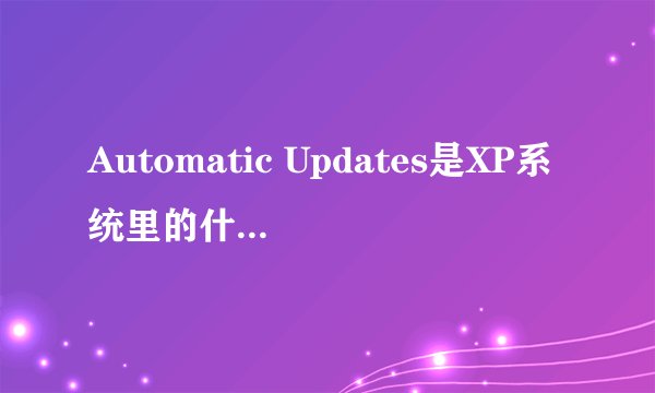 Automatic Updates是XP系统里的什么东西？有什么作用？麻烦知道的解答下，谢谢！！！