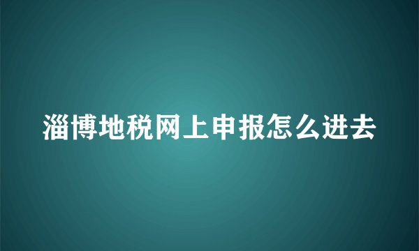 淄博地税网上申报怎么进去