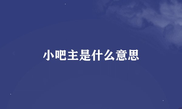 小吧主是什么意思