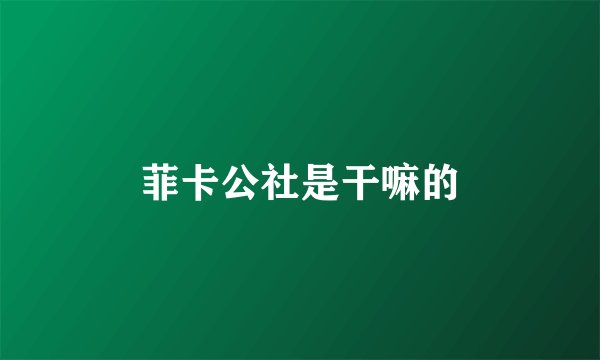 菲卡公社是干嘛的