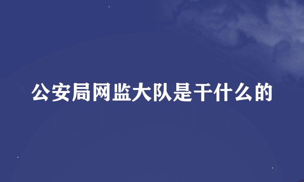 公安局网监大队是干什么的