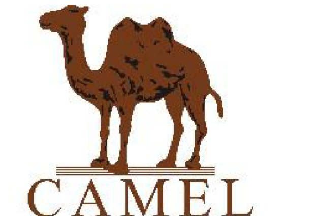 美国驼是什么品牌？