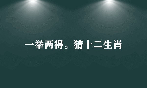一举两得。猜十二生肖