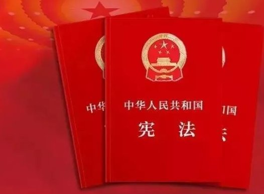 八二宪法以什么投票方式通过