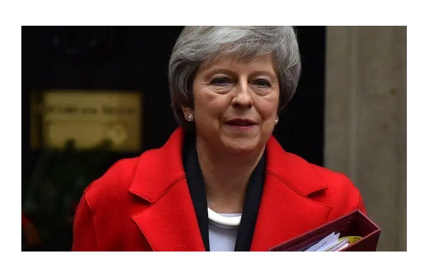 想问一下梅姨是哪国人?