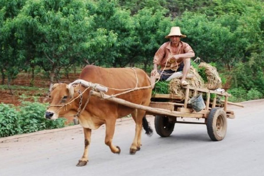 老牛拉破车的下一句是什么